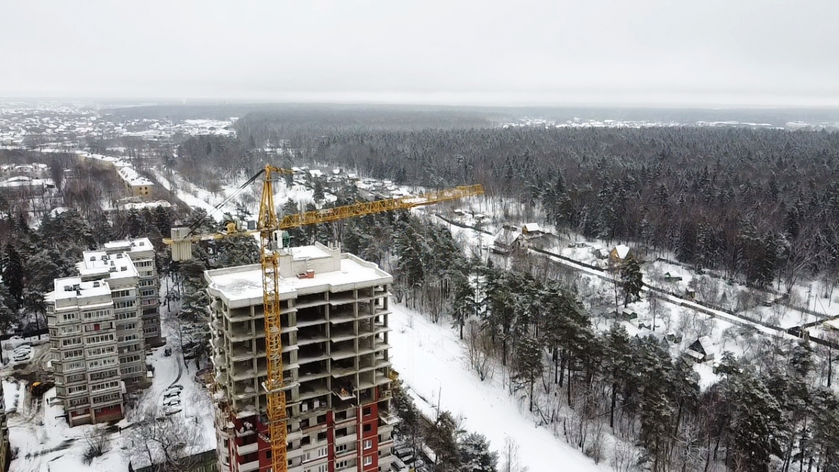 28.01.2021 Вид на лес в Старом городе